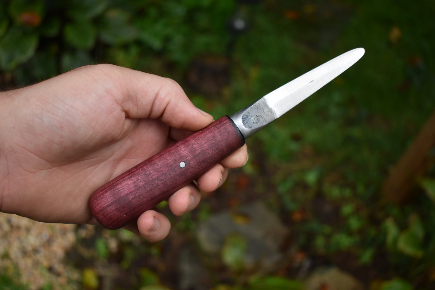 3.5" Oyster Shucker