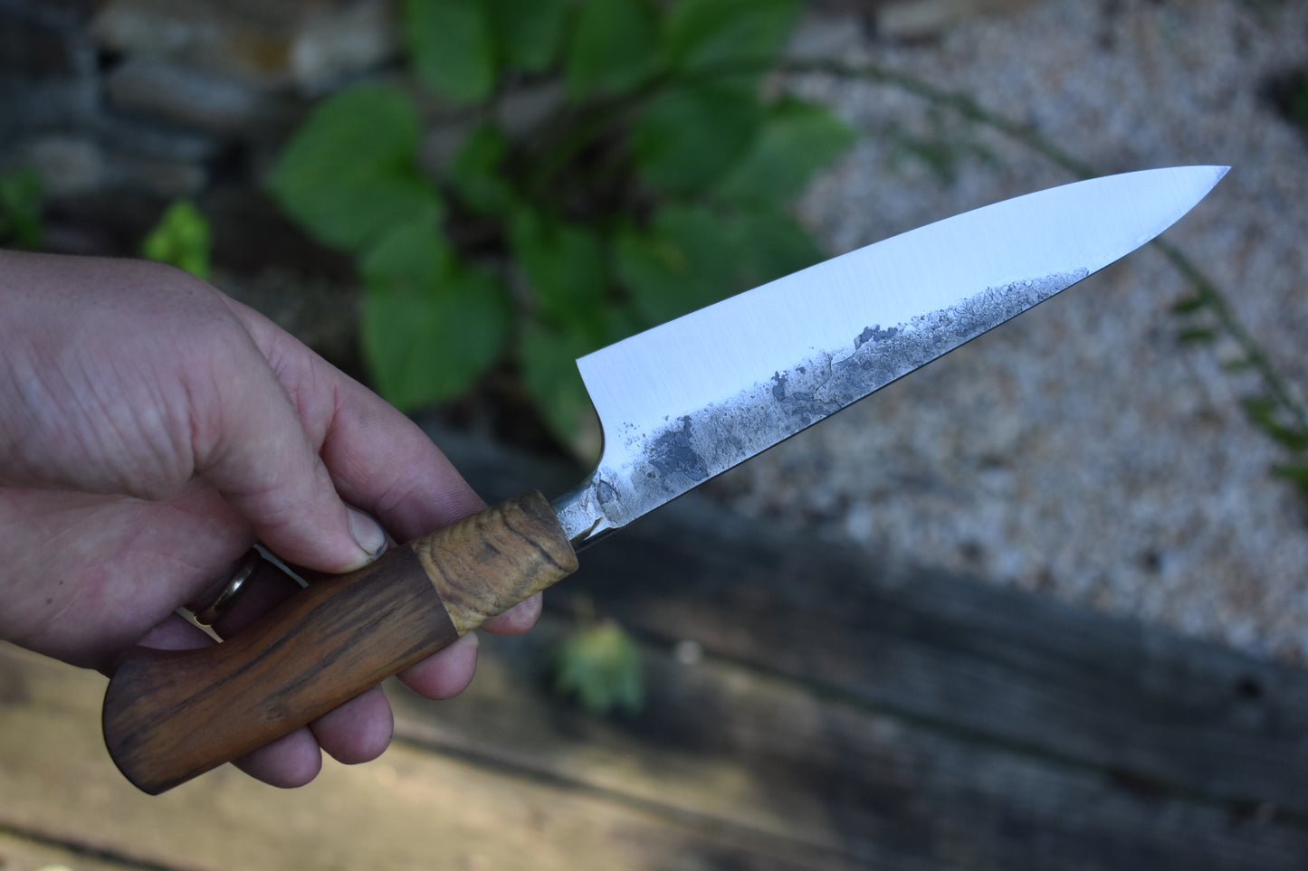 171mm Western Petty