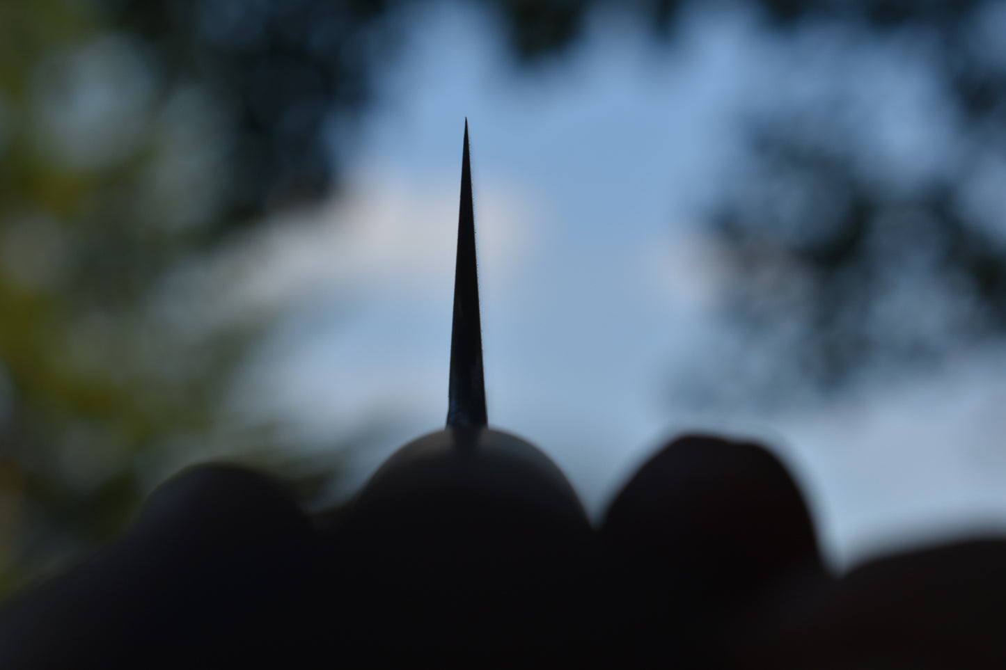171mm Western Petty