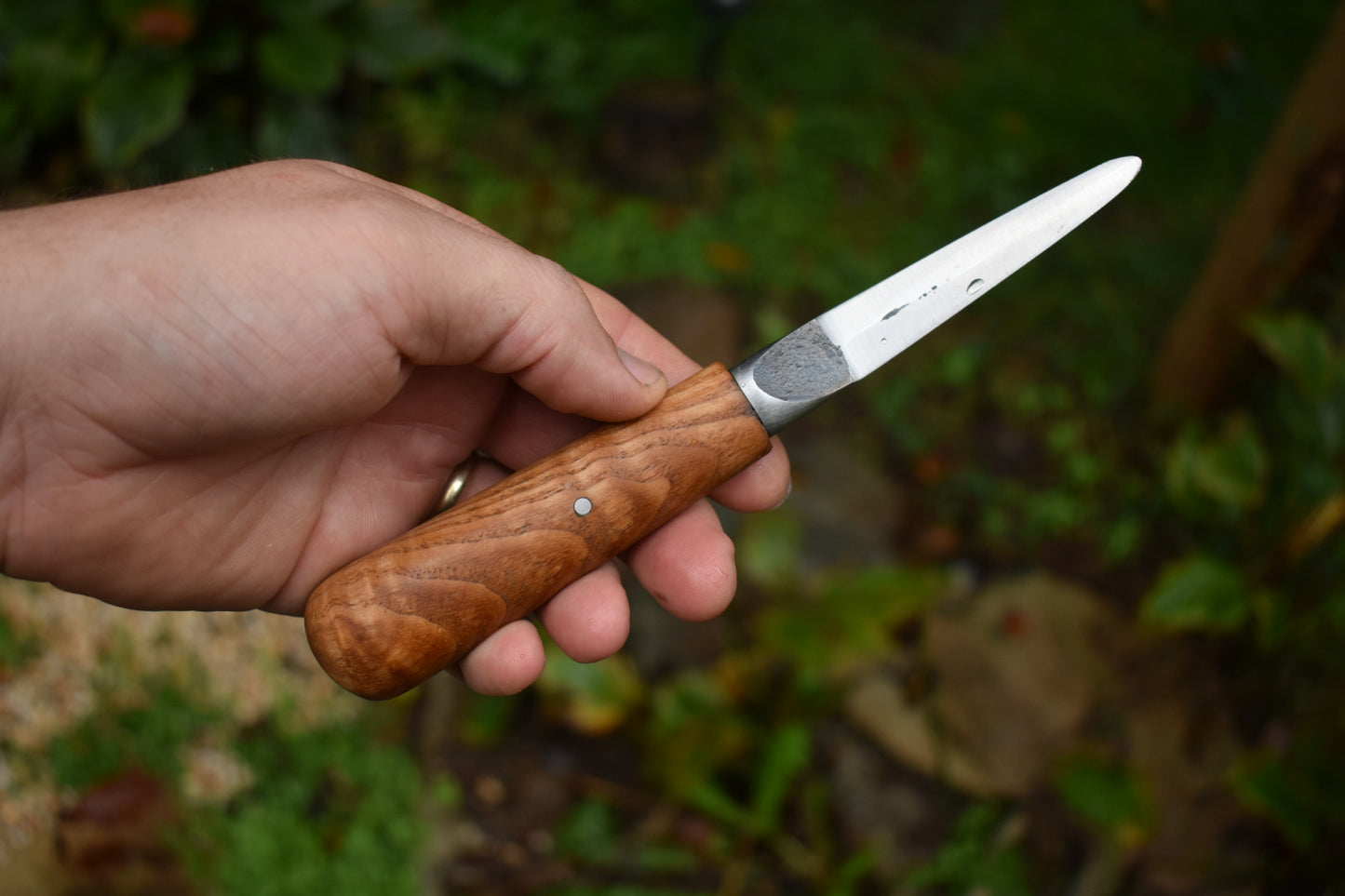 3.5" Oyster Shucker