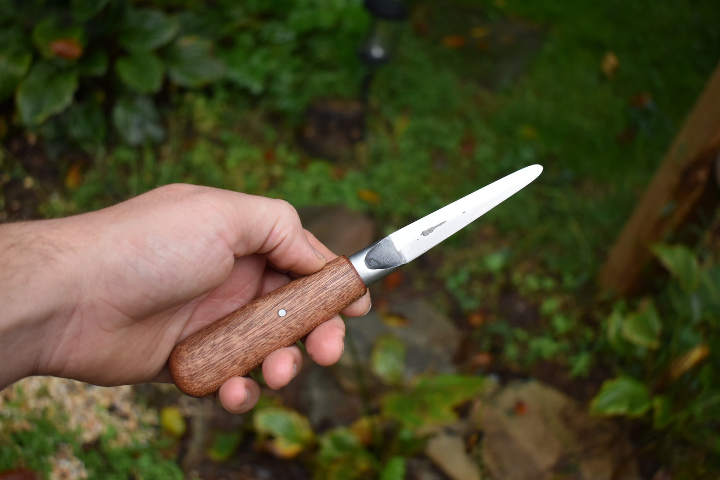 3.5" Oyster Shucker
