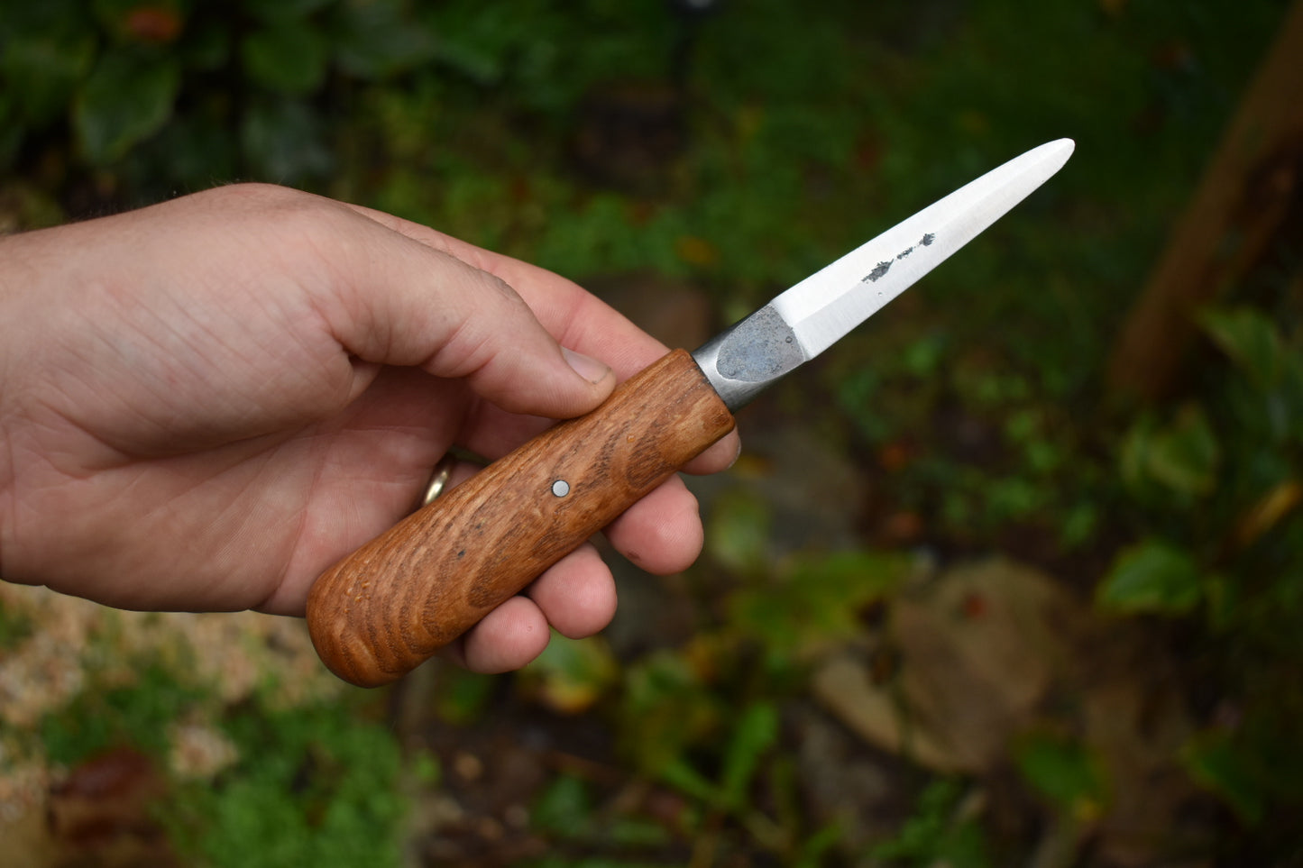 3.5" Oyster Shucker