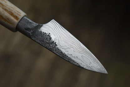 71mm Damascus Antler Paring