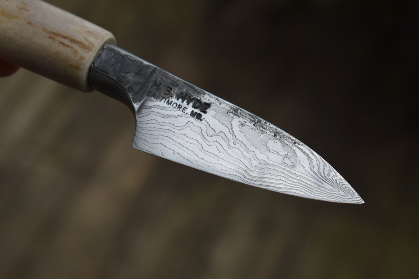 71mm Damascus Antler Paring