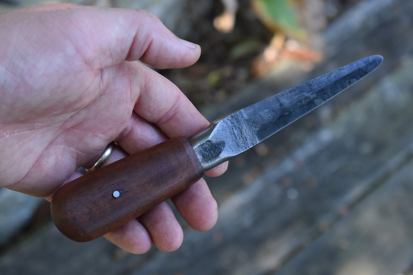 Forged Oyster
