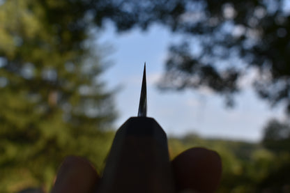 209mm Wa Sakimaru Suji