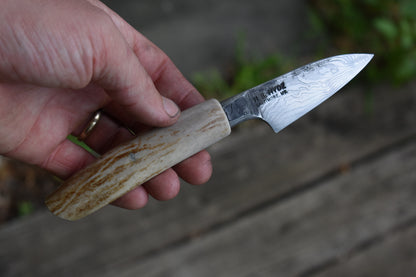 71mm Damascus Antler Paring