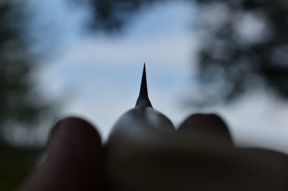 71mm Damascus Antler Paring