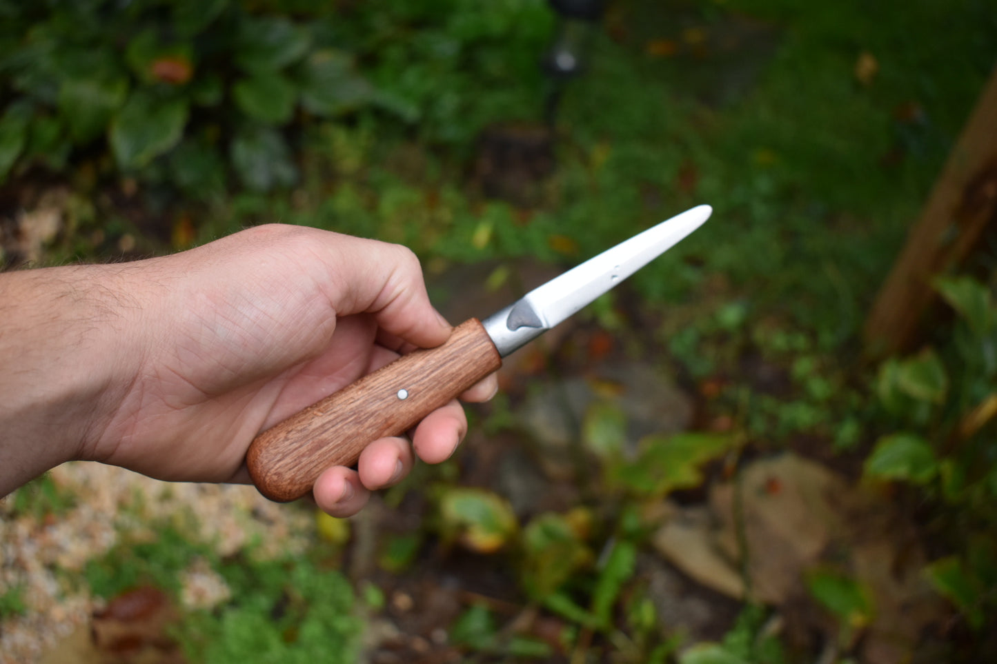 3.5" Oyster Shucker